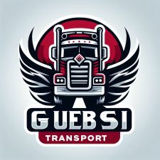 hanen guebsi
