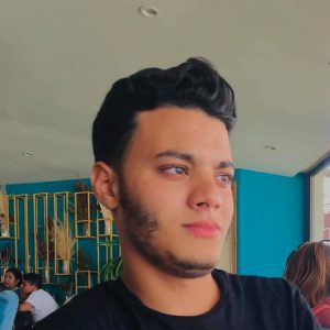 freelance