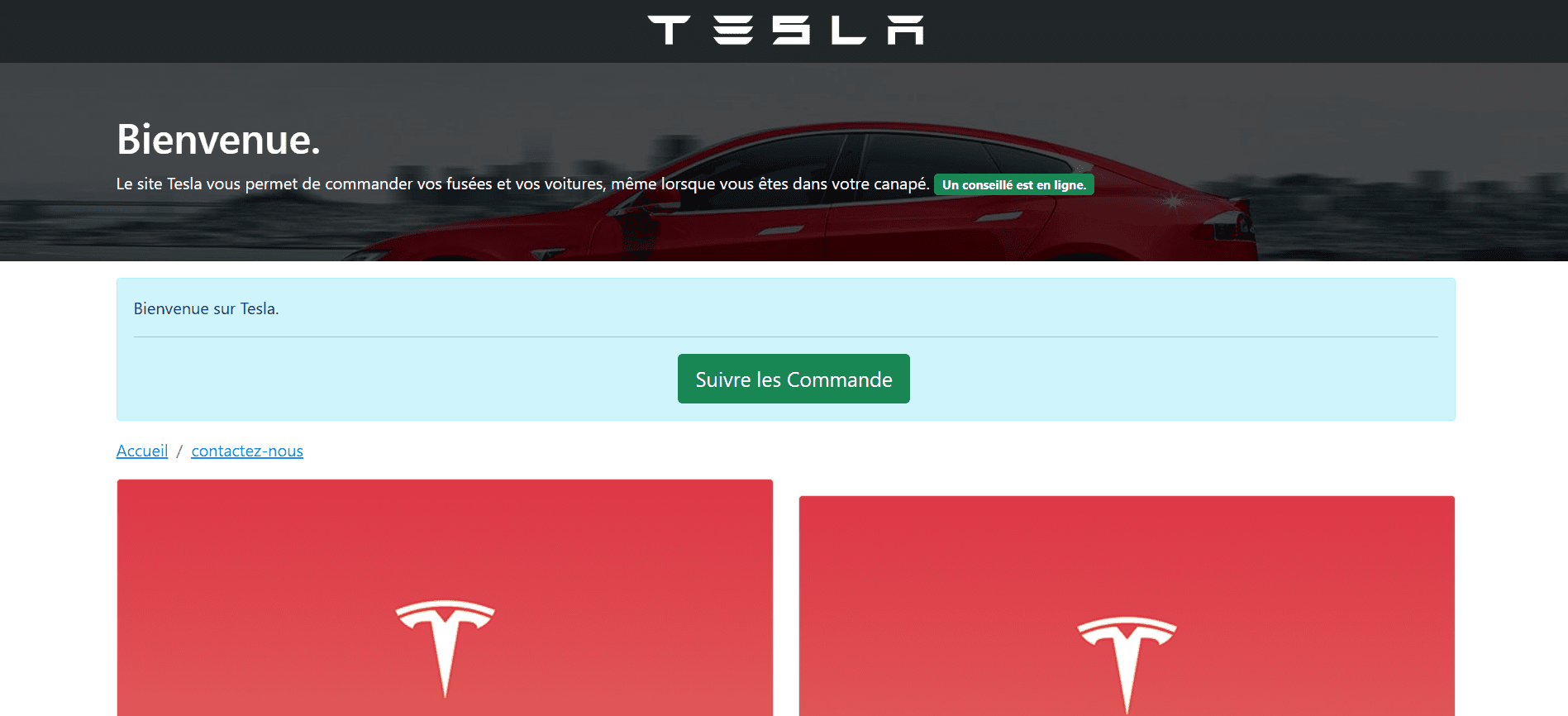 projet statique et responsive de voiture Tesla