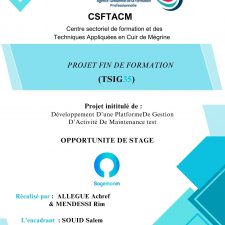 linkedin-allegue-achref