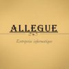 Allegue Entreprise Informatique