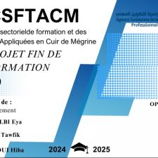 https://www.linkedin.com/in/allegue-entreprise-informatique/